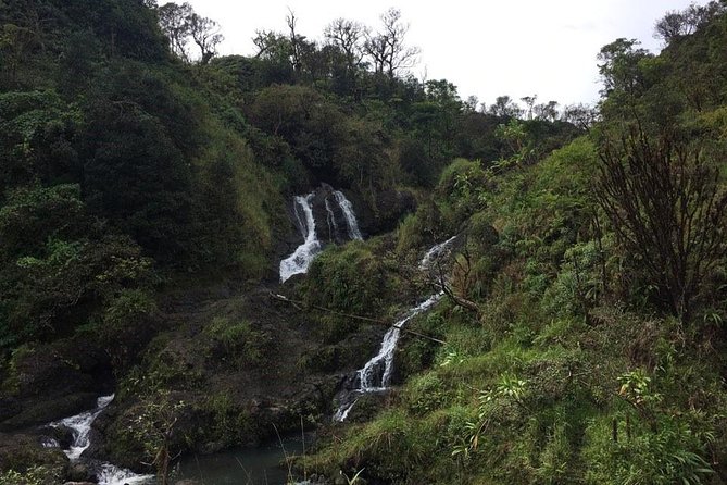 Small-Group Road to Hana Adventure Tour With Pickup & Lunch - Key Points