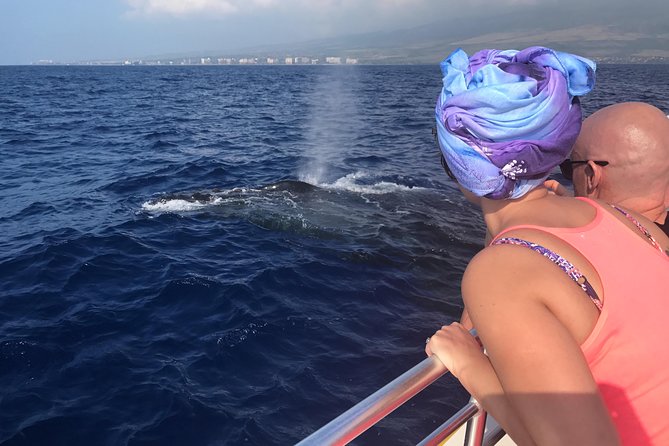 Small-Group Whale Watching Adventure - Key Points