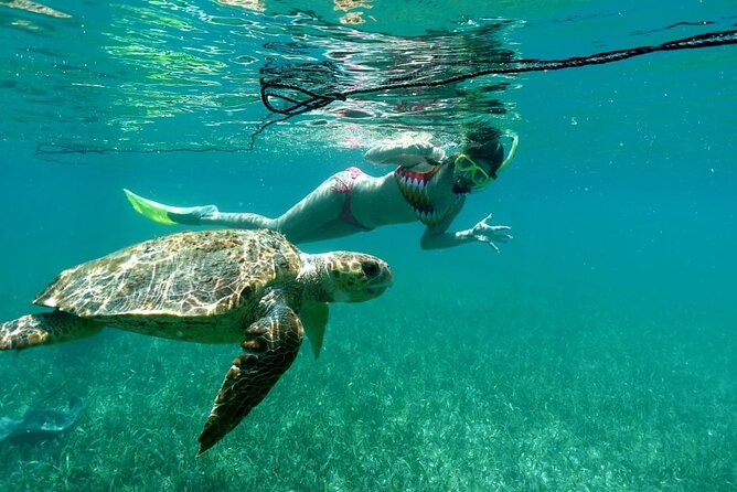 Snorkeling at Silk and Moho Caye - Key Points