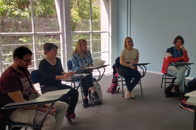 Spanish Intensive Group Classes 20 Hours per Week | Vamos Academy Buenos Aires - Course Overview