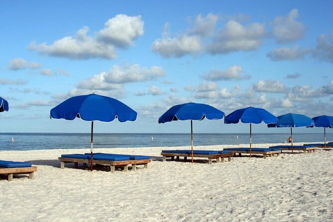 St. Pete Beach Dolphin Racer Adventure - Key Points