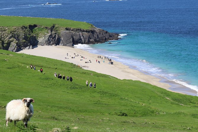 The Great Blasket Island Experience - Premium Tour - Tour Overview and Experience
