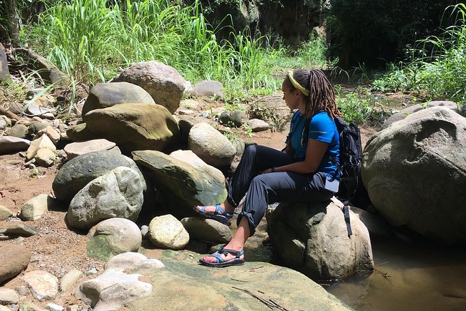 The Jaguar'S Footprint: Hike and Music Day Trip From Cartagena - Highlights of the Experience