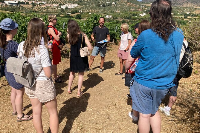 TOP WINE TOUR- Vineyard & Cellar Visit + 6 TOP WINEs + Tapas - Key Points