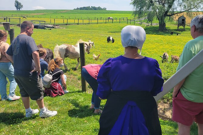 Unique Amish Immersion in Lancaster - Key Points