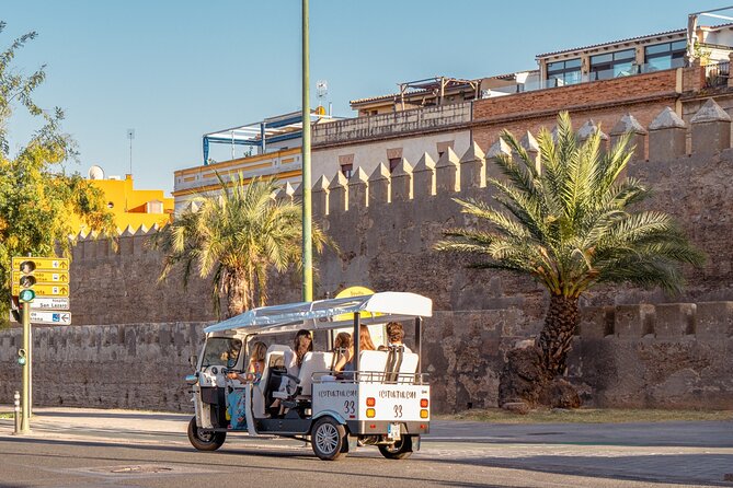 Welcome Tour to Seville in Private Eco Tuk Tuk - Key Points