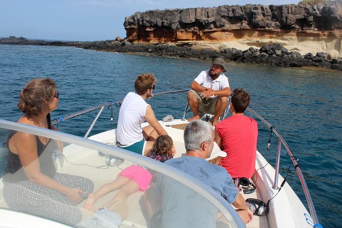 Whale Watching in Tenerife - Key Points