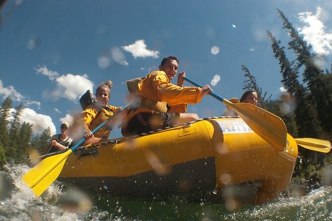 Whitewater Rafting Adventure in Jackson Hole - Classic Boats - Key Points