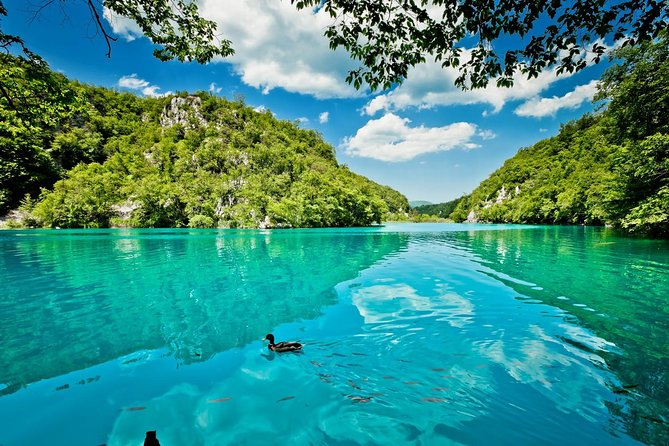 Zagreb to Split Group Transfer With Plitvice Lakes Guided Tour - Key Points
