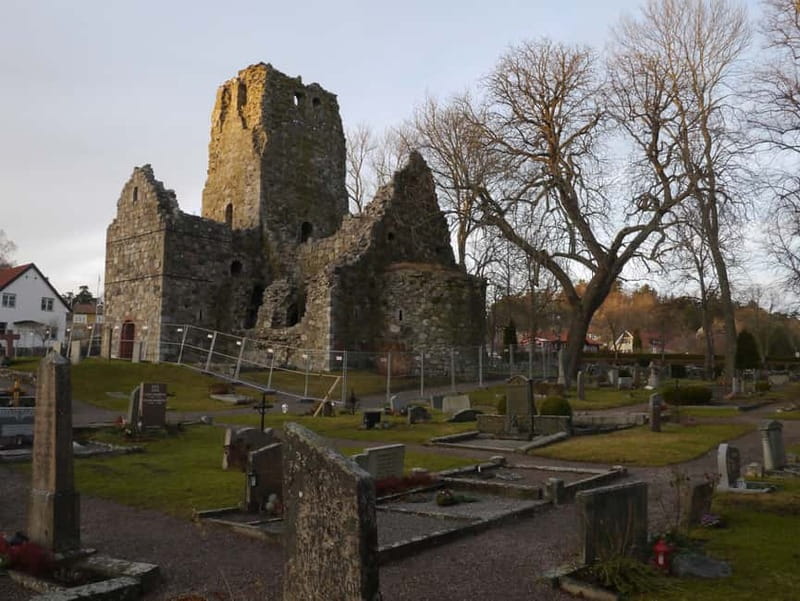 1-day 7h Royal Palace and Castle Tour from Stockholm - Lunch and Stroll in Sigtuna, Sweden’s Oldest Town