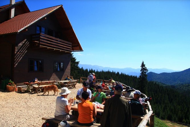 1 day CARPATHIAN PEAKS & CHALETS hike - Exploring Piatra Craiului at Cabana Curmtura
