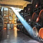 1-Day from Bucharest to Mud Volcanoes & Wine Country Escape - Discovering the Buzau Mud Volcanoes