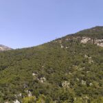 1 Day Parnitha Athens Private Hiking Tour with Hotel Pickup - Exploring Parnitha National Park’s Unique Wildlife and Ecosystem