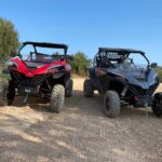 1 Day Tour - The Algarve in a Different Light: What the Tour Offers