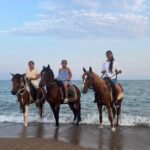 1 Hour Horse Riding in Antalya - The 1-Hour Horse Riding Itinerary Details