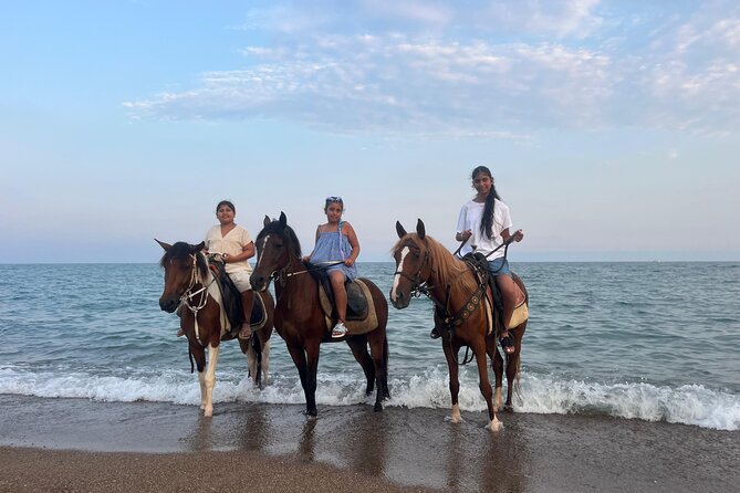 1 Hour Horse Riding in Antalya - The 1-Hour Horse Riding Itinerary Details