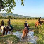 1-Hour Horse Riding Tour at Palomino Ranch Near Tbilisi - Key Points