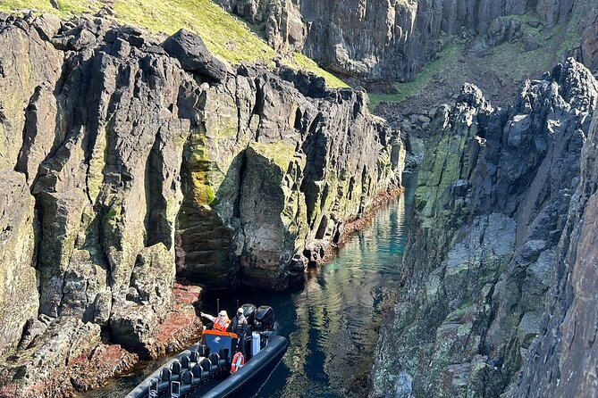1 Hour Iceland Nature and Wildlife RIB Small Group Guided Safari - Up-Close Views of Puffins and Seabirds