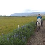 1+ hour Private Horse riding tour from Reykjavík/Mosfellsbær - Exploring Mt. Úlfarsfell on Horseback