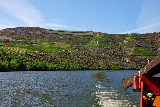 1-Hour Rabelo Boat Trip in Pinhão - Using the Audio Guide for a Richer Experience