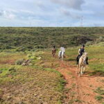 1 hour relaxing horse riding tour in Gran Canaria - Starting Point: The Riding Center and Easy Access