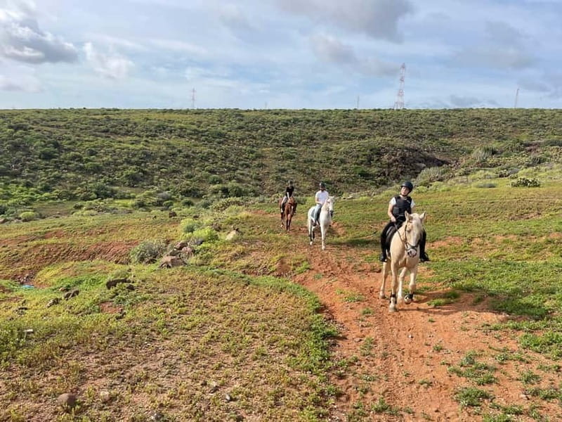 1 hour relaxing horse riding tour in Gran Canaria - Starting Point: The Riding Center and Easy Access