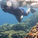 1-Hour Snorkeling Tour in Paraggi Bay, Portofino - How the Tour Begins at Niasca and What to Expect