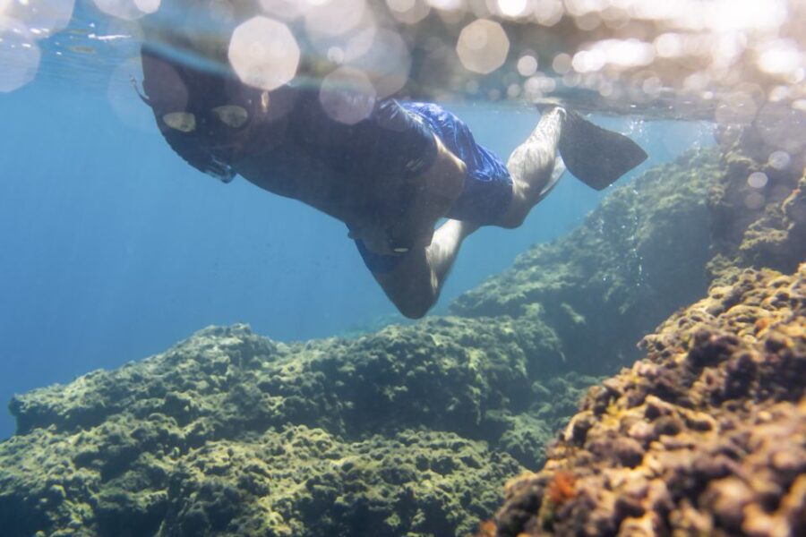 1-Hour Snorkeling Tour in Paraggi Bay, Portofino - How the Tour Begins at Niasca and What to Expect