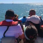 1 or 2 Hour Speed Boat Tour - Ria Formosa - Navigating the Inspiring Channels of Ria Formosa