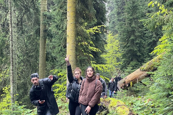 13 km hike in Borjomi - Group tour from Tbilisi - Visiting Borjomi-Kharagauli National Park Visitor Center