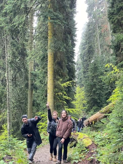 13 km hiking tour from Kutaisi to Borjomi - The Starting Point at Kutaisis Budget Georgia Office