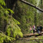2.5 Hours Hike in Vaattunkikongas Forest Trail - All-Year-Round Hiking in Vibrant or Snowy Landscapes