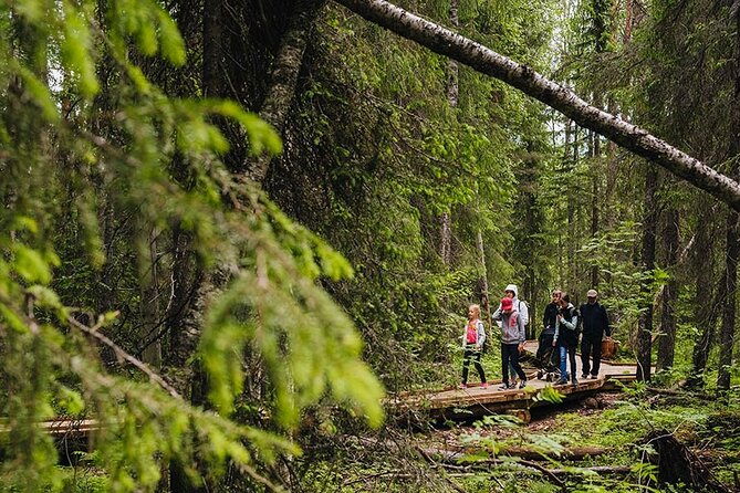 2.5 Hours Hike in Vaattunkikongas Forest Trail - All-Year-Round Hiking in Vibrant or Snowy Landscapes