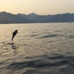 2.5 Hours Sunset Boat Tour in Search of Dolphins - Starting Point at Giardini Naxos with Easy Access