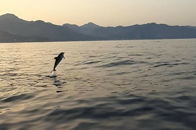 2.5 Hours Sunset Boat Tour in Search of Dolphins - Starting Point at Giardini Naxos with Easy Access