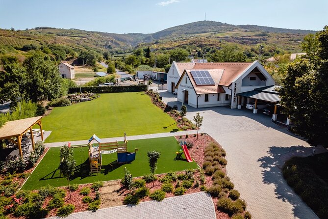 2 day Boat Trip and City Tour in Tokaj Hungary with Wine Tasting - Exploring the Tokaj Wine Region’s Vineyards and Cellars