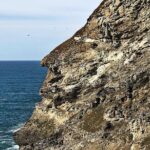 2-Day Tour of King Arthur's Cornwall in Tintagel, Boscastle and Dartmoor from Glastonbury - Tintagel: The Heart of King Arthur’s Legend