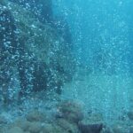 2 Dives Package - Midday Break with Beach Relaxation