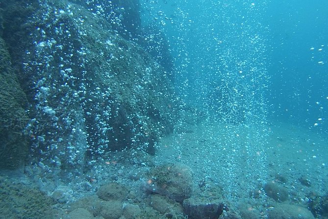 2 Dives Package - Midday Break with Beach Relaxation