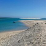 2-hour Bird Watching Guided Boat Trip in Ria Formosa from Faro Algarve - Stops at Oyster and Clam Farms: An Important Economic Activity
