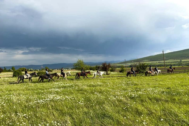 2-hour horse riding tour at Palomino Ranch Near Tbilisi - Starting the Ride in the Village of Ferma