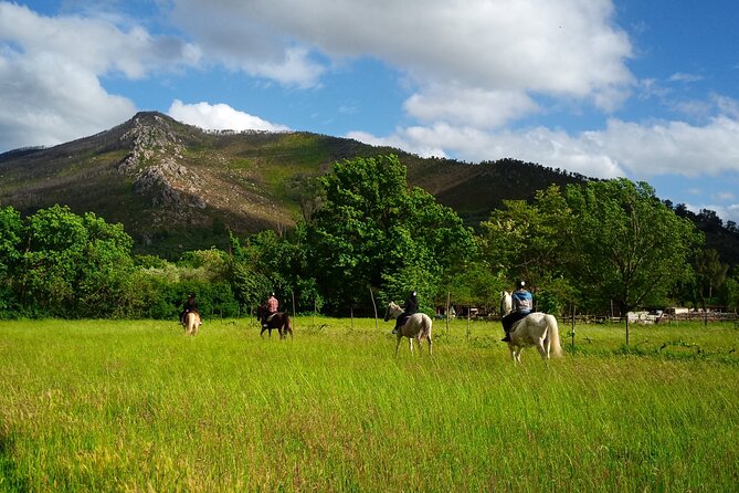2 hour horseback ride for experts in Valgraziosa (Pisa) - Expert-Guided Tours and Safety Features