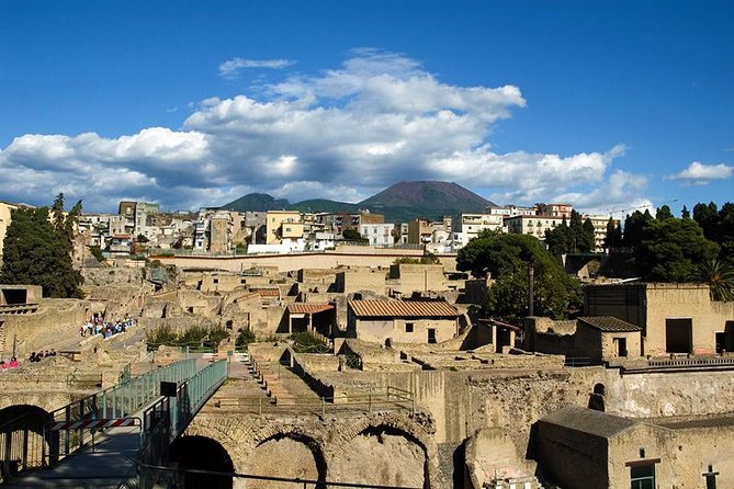 2-Hour Private Guided Tour of Herculaneum - Highlights of Herculaneum’s Roman Baths and Villa of the Papyri