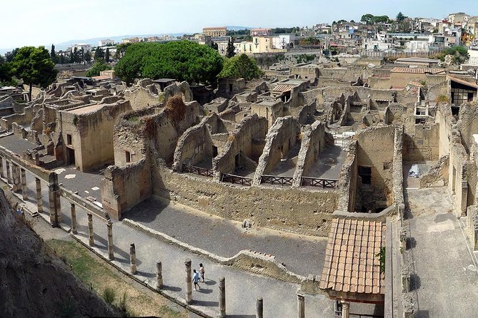 2-Hour Private Tour of the Ruins of Herculaneum - Convenient Pickup and Location in Ercolano