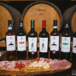 2-hour tasting of 5 wines in Sorrento - Explore Cantine De Angelis: A Historic Sorrento Winery