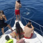 2 Hours Dolphin Watching in Marbella - Searching for Dolphins in Marbella’s Waters