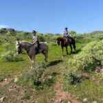 2 hours Green Mountains Horse Riding Tour - Starting at the Horse Riding Canaria Center in Countryside Ojos de Garza