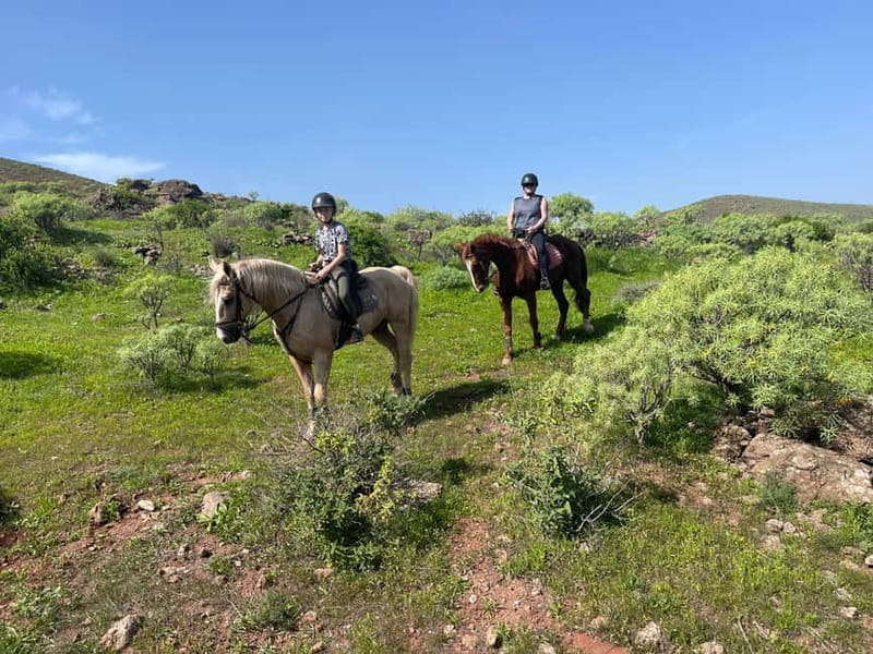 2 hours Green Mountains Horse Riding Tour - Starting at the Horse Riding Canaria Center in Countryside Ojos de Garza