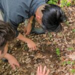 2 hours Private Activity - Truffle hunting in Assisi - Exploring the Assisi Countryside: Diverse Paths for All