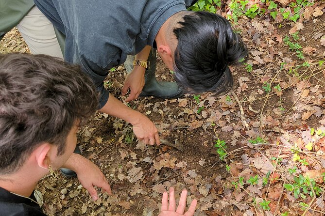 2 hours Private Activity - Truffle hunting in Assisi - Exploring the Assisi Countryside: Diverse Paths for All